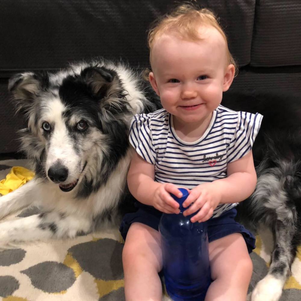 Meet your Posher, David